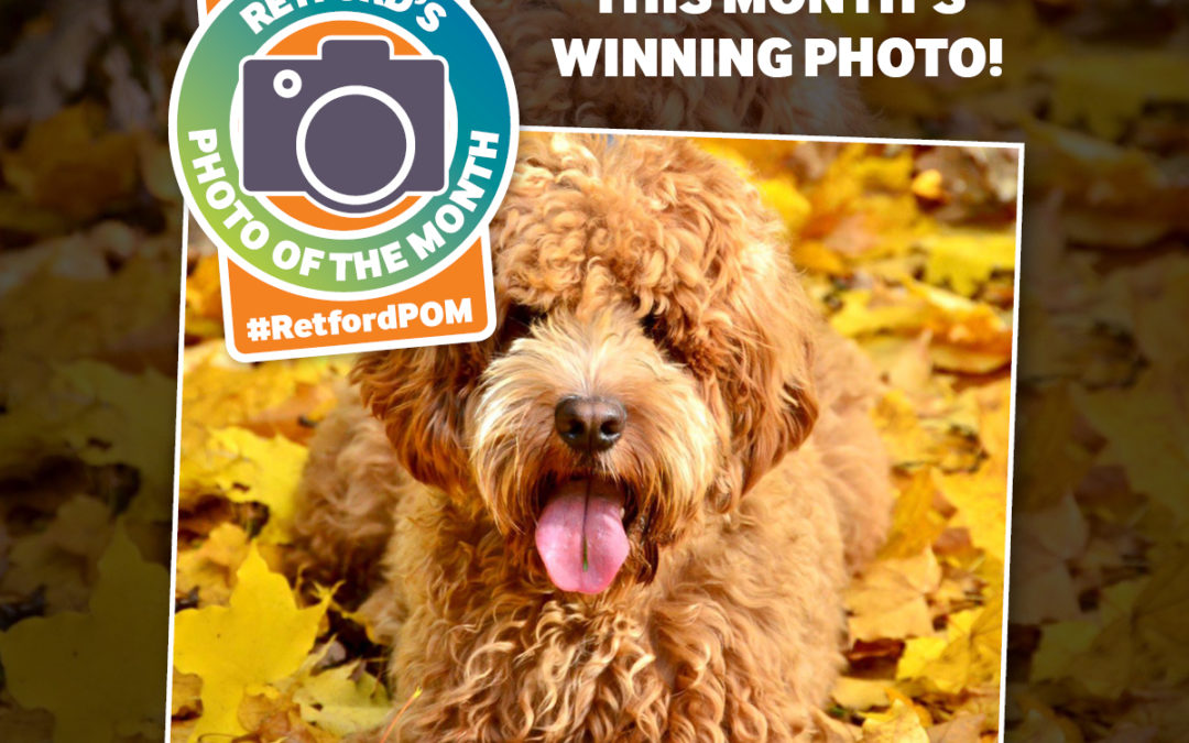 Retford’s Photo of the Month – October 2018 winner!