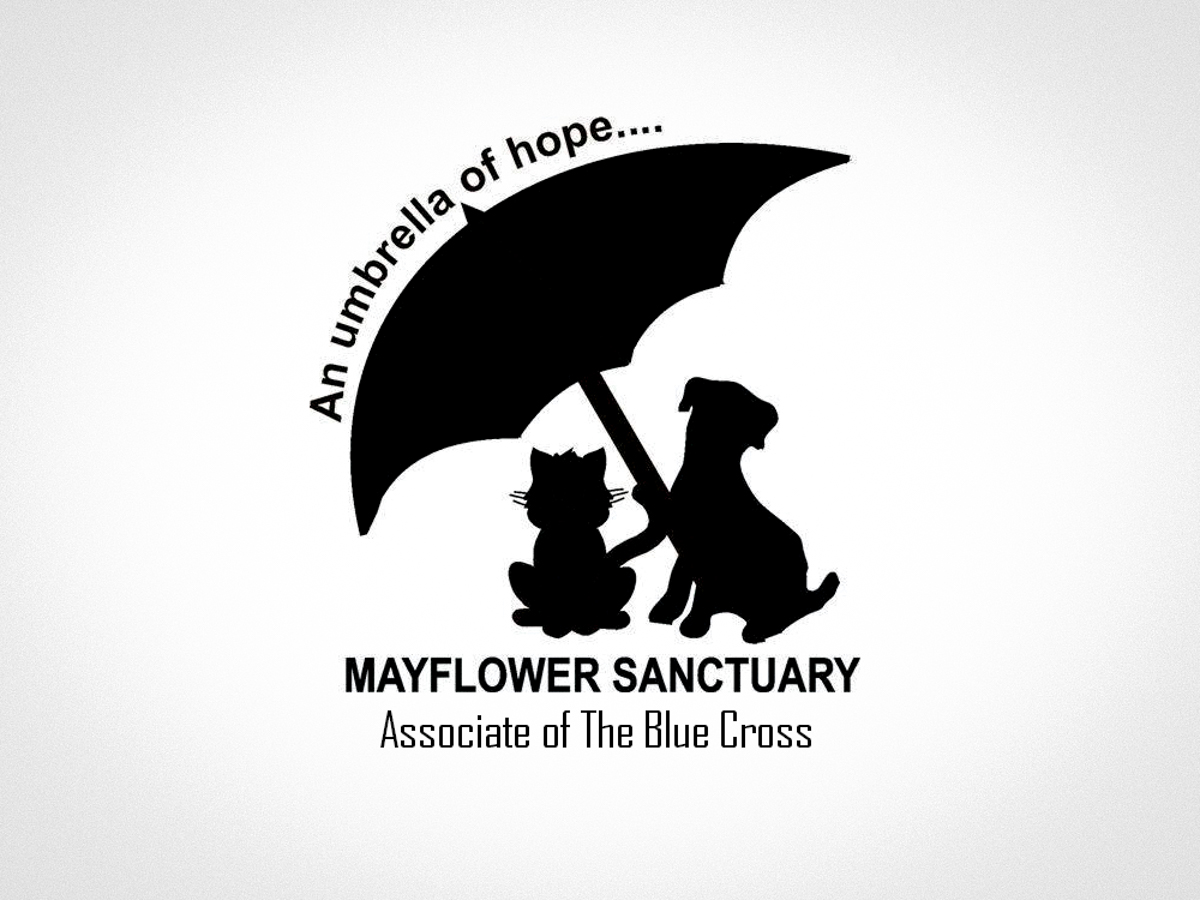 Mayflower 2024 dog sanctuary