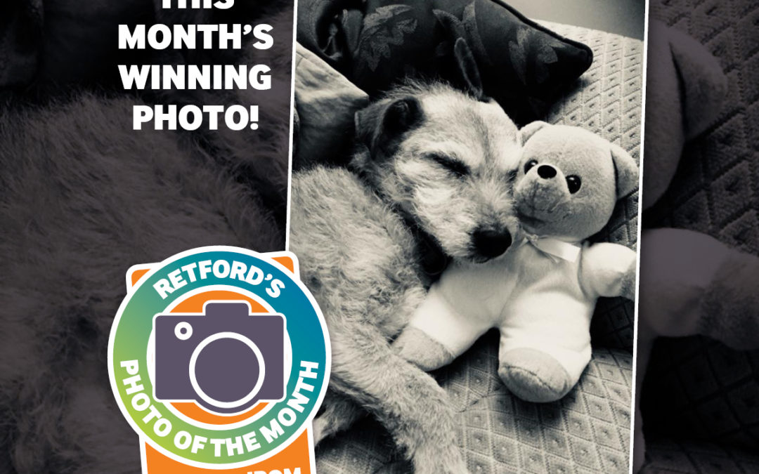 Retford’s Photo of the Month – September 2018 winner!